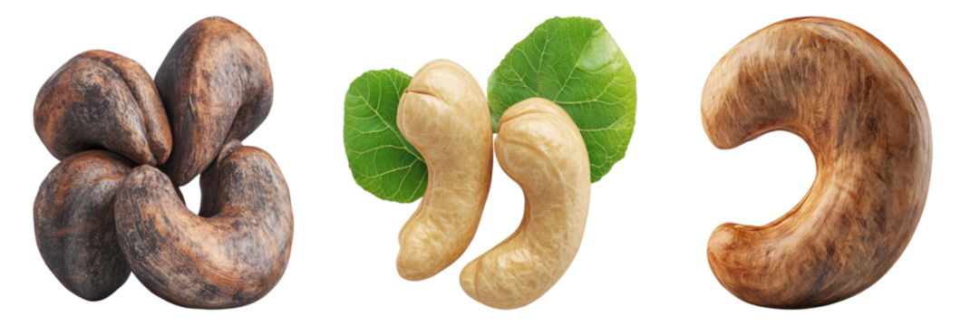 Cashew nuts, featuring a close-up of different stages, from the shell to the nut. One pair shows fresh green leaves with light-colored nuts. Other three nuts are without shell