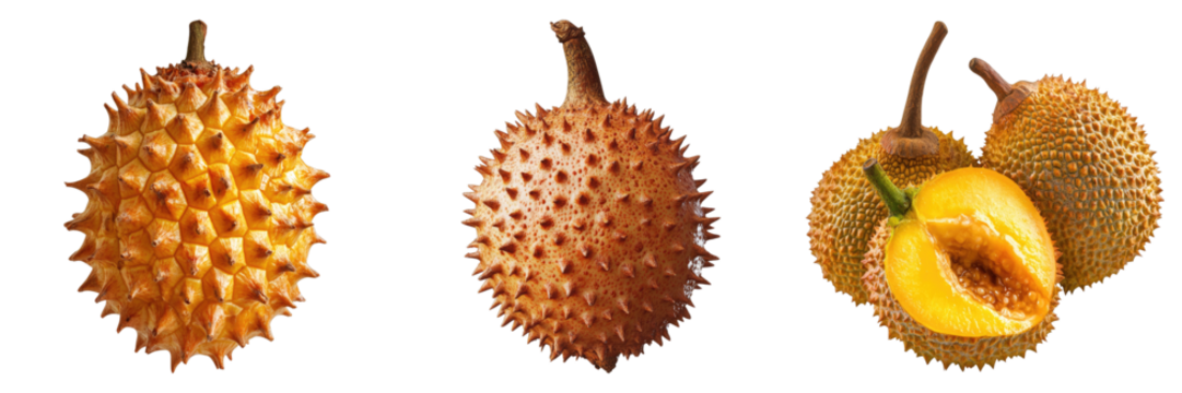 A close-up shot of three different stages of gac fruit