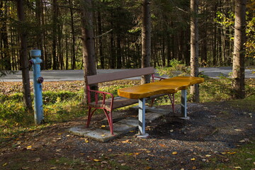 Resting place at the fish pond at Willersdorf, Oberwart district, Burgenland, Austria, Europe, Central Europe
