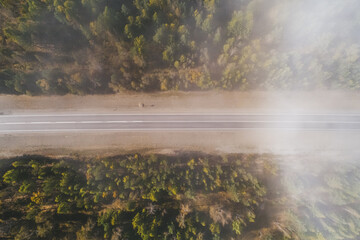 Aerial view of a quiet road bordered by dense forest in early morning light with soft mist rising
