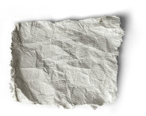 Torn pieces of paper