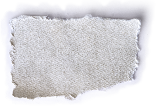 Torn pieces of paper
