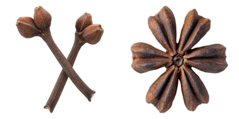 Dried cloves and star anise, spices with distinct flavors, ready to infuse dishes with warmth and complexity. These aromatic spices are presented close up.