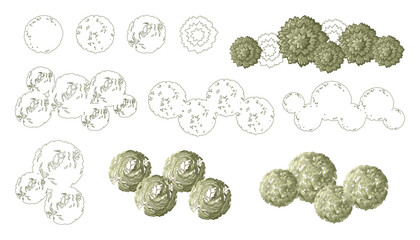 Tree for architectural floor plans. Entourage design. Various trees, bushes, and shrubs, top view for the landscape design plan. Vector illustration.