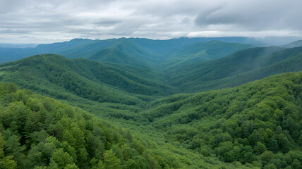 Naklejka premium Dramatic mountain range covered in lush green forest with cloudy and foggy sky