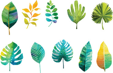 Fototapeta premium set of green leaves