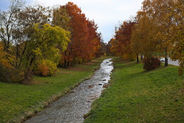 Colorful trees at the river Pinka in Oberwart, Burgenland, Austria, Europe, Central Europe
