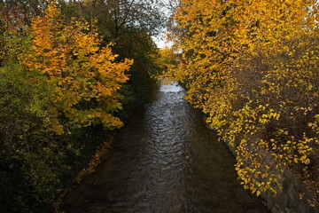 Colorful trees at the river Pinka in Oberwart, Burgenland, Austria, Europe, Central Europe
