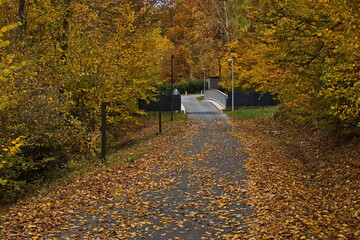 Cycle path at Bad Tatzmannsdorf, Oberwart district, Burgenland, Austria, Europe, Central Europe
