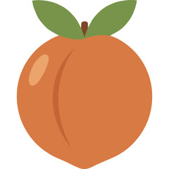 Orange Nectarine Fruit Vector Icon with Transparent Background
