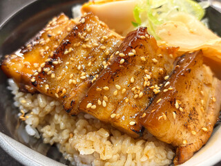 grilled pork on rice topped with sesame seeds . 