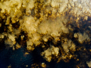 meeting of the waters