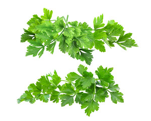 parsley isolated on transparent png ( image from camera )