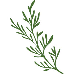 Green Leafy Sprig Botanical Element on Transparent Background Simple Flat Illustration