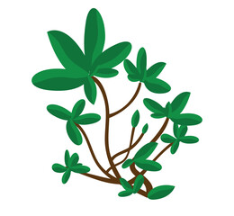A simple illustration of a plant with brown stems and vibrant green leaves on a white background image