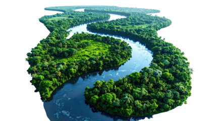 Aerial view of a winding river flowing through a lush, green forest landscape