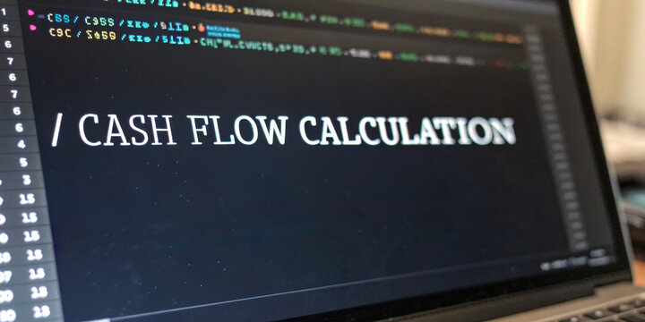 Focused screen with programming code for cash flow calculation vital tool for financial business management. close up view of laptop displaying data for analysis
