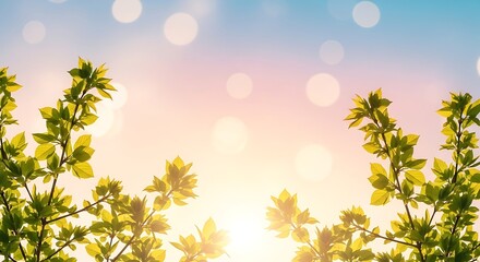 Aesthetic arrangement of natural spring branches, young foliage illuminated by soft sunlight, pastel dreamy sky, airy mood