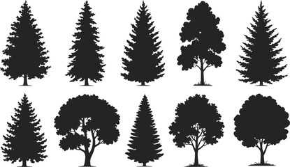Flat vector silhouette set of coniferous and deciduous trees, forest elements, nature landscape, botanical illustration, foliage design, black graphic