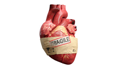A realistic depiction of a human heart, wrapped with tape that reads "FRAGILE