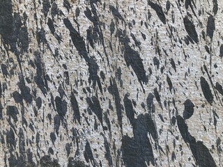 Abstract grunge splatter texture: weathered wood grain surface with diagonal black paint streaks