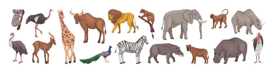 Naklejka premium Wild animals collection from Africa savanna. Vector isolated koala and giraffe, bison and lion, peacock and zebra, beaver and boar, hyena and elephant, monkey and rhinoceros, vulture and hippopotamus
