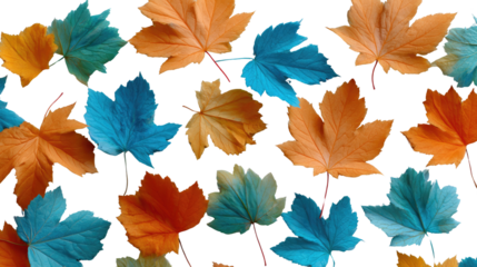 Vibrant Autumn Leaves: A colorful composition of autumn leaves, showcasing a variety of hues and patterns, a perfect representation of the season's beauty.