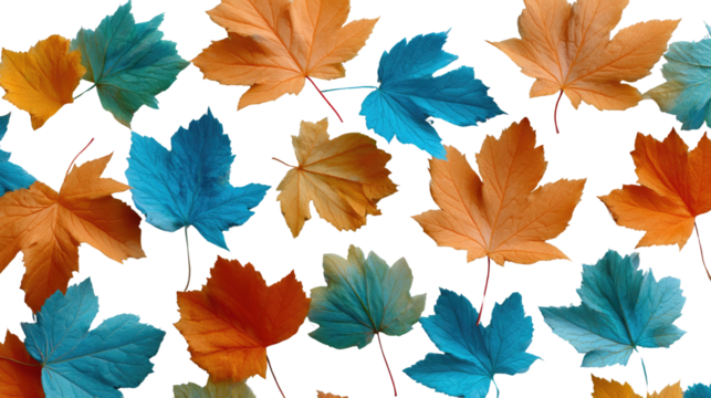 Vibrant Autumn Leaves: A colorful composition of autumn leaves, showcasing a variety of hues and patterns, a perfect representation of the season's beauty.