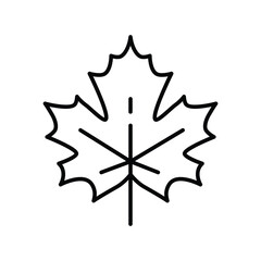 Line drawing of a maple leaf with prominent veins and distinct serrated edges