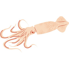 Illustration of a single pink squid with orange dots and flowing tentacles against a clean white background depicting marine life and ocean creatures in a simple flat graphic style