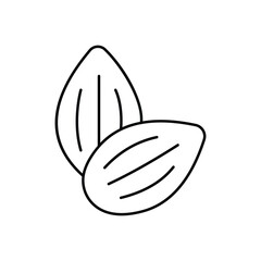 Two almond nuts are depicted with a black outline Each shows internal lines One is behind the other