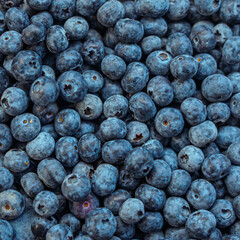 Close-up overhead view of fresh, ripe blueberries with natural white bloom coating. The berries are tightly packed together, showcasing their deep blue-purple color, smooth round shape