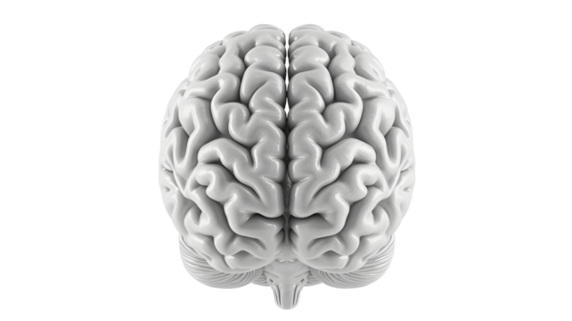 Strikingly detailed human brain anatomy, a symbol of intelligence, thought, and complex cognition for medical and scientific concepts.