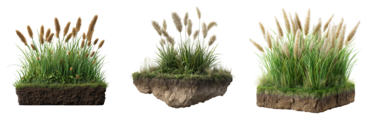 Set of  Kansas grass seeds in a small wooden bowl placed on transparent png background. Ai generated