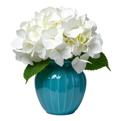 Bouquet of roses in a vase on a white background