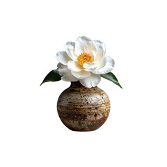 Bouquet of roses in a vase on a white background