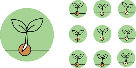 Seed germination growth stages illustration, green sprout development process icon set, plant life cycle concept, eco farming vector design
