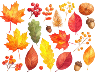 Watercolor illustration of autumn leaves, berries, and acorns against a stark black background
