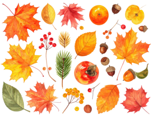Watercolor illustration of autumnal elements, including vibrant leaves and fruit