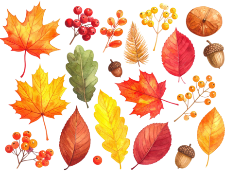 Watercolor illustration of autumn leaves, berries, and acorns against a stark black background - Powered by Adobe