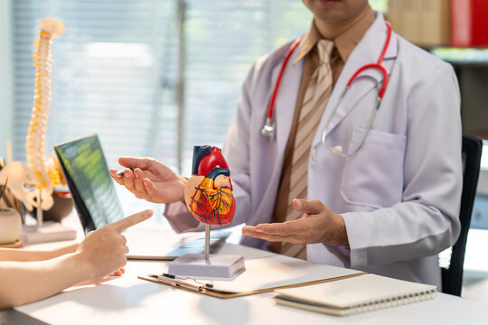 Medical Consultation: A dedicated doctor engages in a thorough discussion with a patient, utilizing a detailed model of the heart to enhance understanding and providing compassionate care.