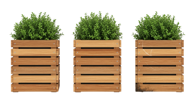Three Wooden Planters Box with Green Plants Home Decor Gardening Flower Pots Outdoor Decor on transparent background
