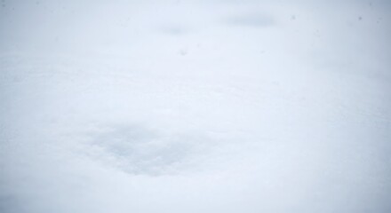 Obraz premium Ethereal Abstract Texture Background Featuring Soft White and Subtle Gray Hues, Creating a Dreamlike and Calming Visual Experience with Gentle Blurs