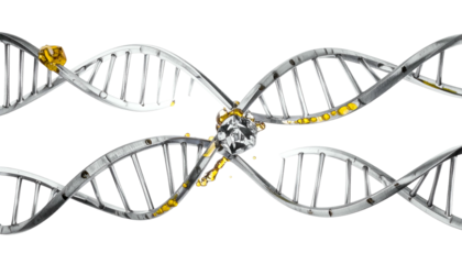 Metallic DNA strands intertwined, highlighted by a gem-like structure on a black background