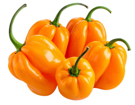 Group of orange habanero peppers showing natural shine and curved shapes, PNG format with transparent background.