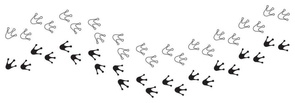 Frog Footprint Vector design - Path footprints of Frog or Toad. Bird footprints icon