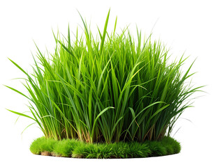 Realistic tuft of bright green grass standing upright, isolated on transparent background. Perfect for eco design, landscaping mockups, or nature-themed projects.