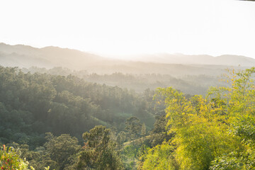 View of forested mountain landscape with misty atmosphere during sunset or sunrise