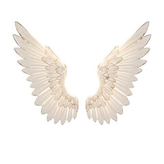 Fototapeta premium Angel wings spread open isolated on transparent background