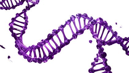 A swirling, glowing purple double helix structure against a stark black backdrop